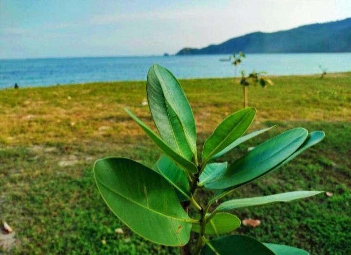 Sakila Homestay Kuta  Bagian luar foto